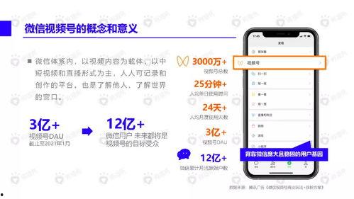 寺庙吃瓜女孩视频下载,下载热潮席卷网络