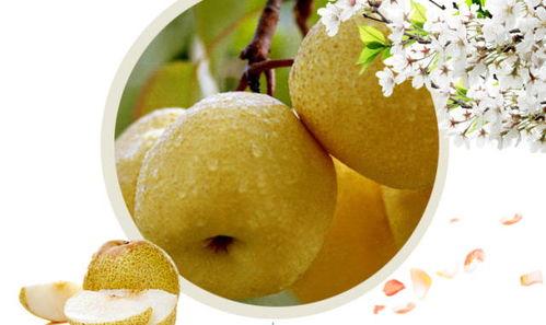 晚上吃酥瓜好吗,健康美味两不误