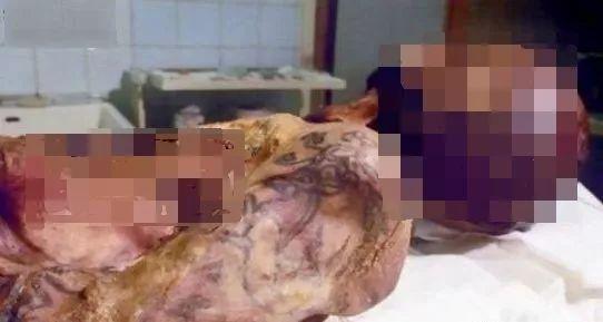 棺材蘑菇地球明星,地球上的神秘明星与自然奇观