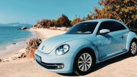 海丰网红鸟巢,见证自然与人文的和谐共生