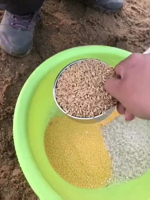 看窝料,探寻家居装饰新风尚