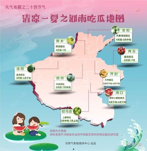 吃瓜新闻最新河南视频