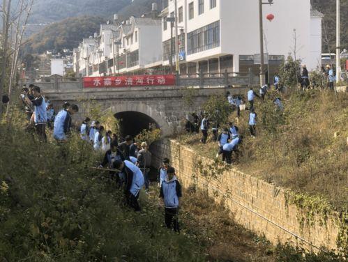 河南隆阳水寨乡新闻头条,乡村振兴战略下的新篇章