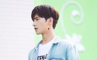 台湾杨姓男明星,璀璨星途与魅力风采