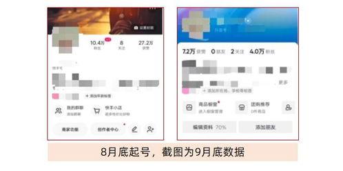 头条怎样才会涨粉丝呢,掌握这些技巧，轻松吸引海量粉丝