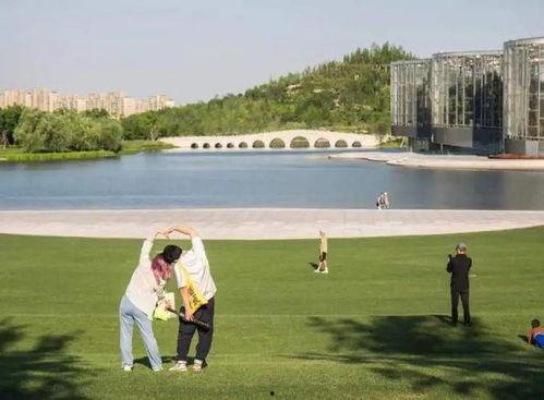 下沙网红草坪在哪买,购买攻略与推荐